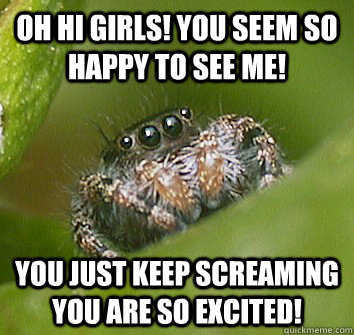 Oh hi girls! you seem so happy to see me! you just keep screaming you are so excited!  Misunderstood Spider