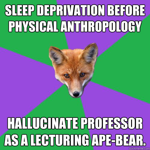 Sleep deprivation before Physical anthropology Hallucinate professor as a lecturing ape-bear. - Sleep deprivation before Physical anthropology Hallucinate professor as a lecturing ape-bear.  Anthropology Major Fox