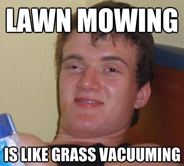 lawn mowing  is like grass vacuuming   10 Guy