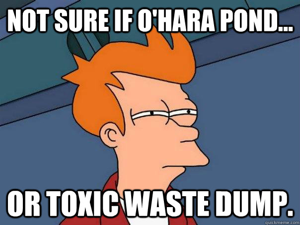 Not sure if O'Hara Pond... Or toxic waste dump.  Futurama Fry