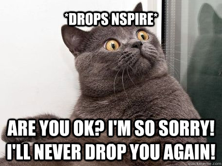 *drops NSPIRE* are you ok? I'm so sorry!  I'll never drop you again!  conspiracy cat