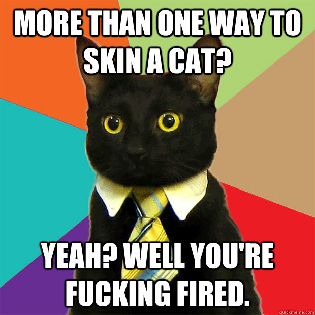 more than one way to skin a cat? Yeah? Well you're fucking fired.  Business Cat