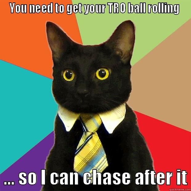 YOU NEED TO GET YOUR TRO BALL ROLLING   ... SO I CAN CHASE AFTER IT Business Cat