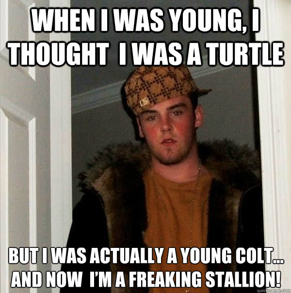 WHEN I WAS YOUNG, I THOUGHT  I WAS A TURTLE BUT I WAS ACTUALLY A YOUNG COLT… AND NOW  I’M A FREAKING STALLION!  Turtle to Stallion