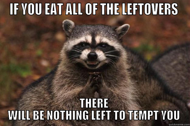 IF YOU EAT ALL OF THE LEFTOVERS THERE WILL BE NOTHING LEFT TO TEMPT YOU Evil Plotting Raccoon