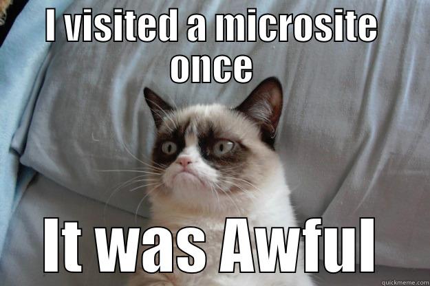 I VISITED A MICROSITE ONCE IT WAS AWFUL Grumpy Cat