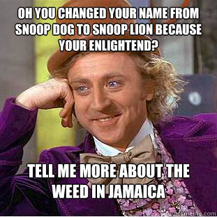 Oh you changed your name from snoop dog to snoop lion because your enlightend? tell me more about the weed in jamaica  Condescending Wonka