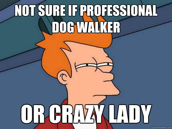 not sure if professional dog walker or crazy lady  Futurama Fry