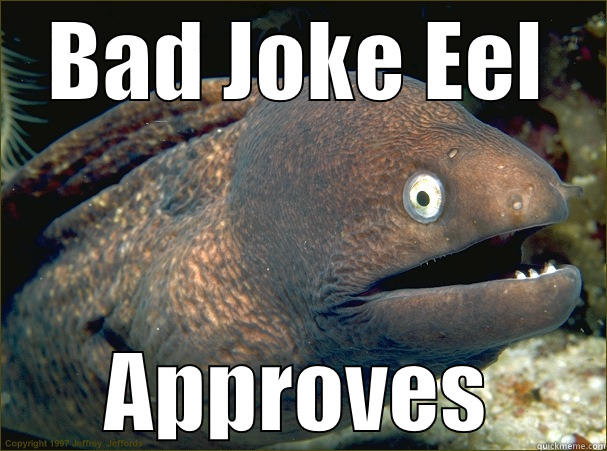 Eel approval - BAD JOKE EEL APPROVES Bad Joke Eel