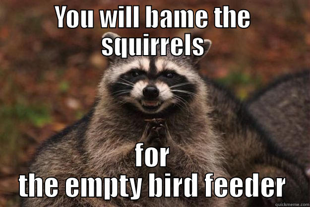 YOU WILL BAME THE SQUIRRELS FOR THE EMPTY BIRD FEEDER Evil Plotting Raccoon