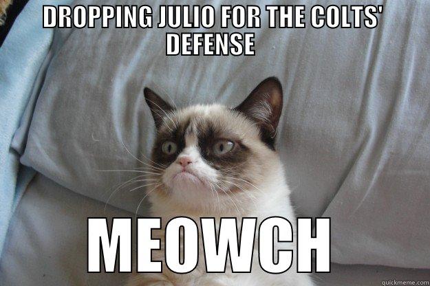 DROPPING JULIO FOR THE COLTS' DEFENSE  MEOWCH Grumpy Cat