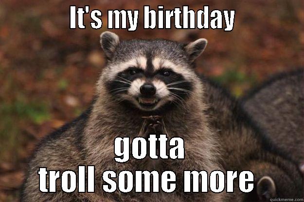             IT'S MY BIRTHDAY            GOTTA TROLL SOME MORE  Evil Plotting Raccoon