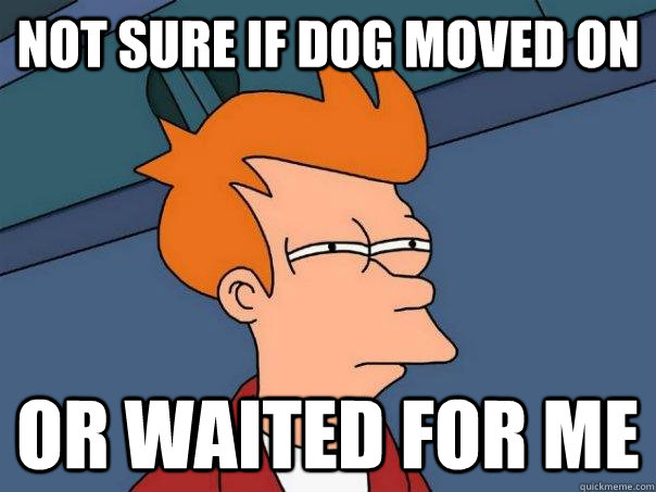 Not sure if dog moved on or waited for me  Futurama Fry