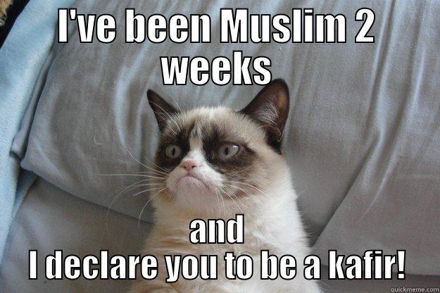 I'VE BEEN MUSLIM 2 WEEKS AND I DECLARE YOU TO BE A KAFIR! Grumpy Cat