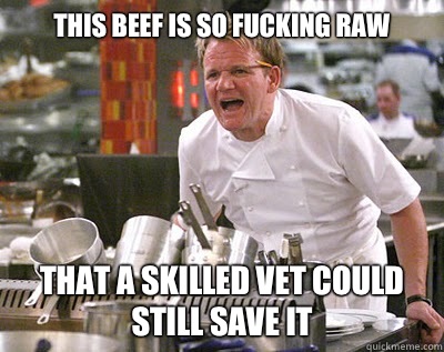 This beef is so fucking raw That a skilled vet could still save it  Chef Ramsay