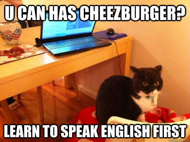 U can has cheezburger? learn to speak english first  Unimpressed Cat