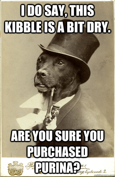 I do say, this kibble is a bit dry. Are you sure you purchased Purina? - I do say, this kibble is a bit dry. Are you sure you purchased Purina?  Old Money Dog