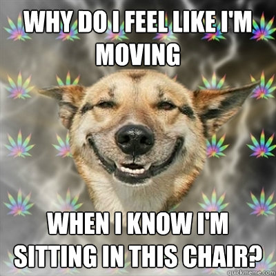 Why do I feel like I'm moving When I know I'm sitting in this chair?  Stoner Dog