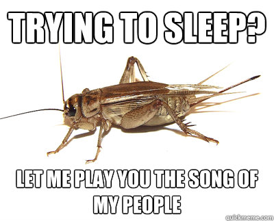 funny cricket sounds