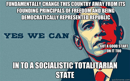 fundamentally change this country away from its founding principals of freedom and being democratically represented republic in to a socialistic totalitarian state got a good start on it too  Scumbag Obama