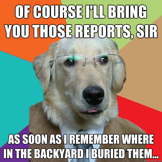 of course i'll bring you those reports, sir
 as soon as i remember where in the backyard i buried them...  Business Dog