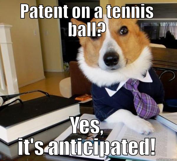 PATENT ON A TENNIS BALL? YES, IT'S ANTICIPATED! Lawyer Dog