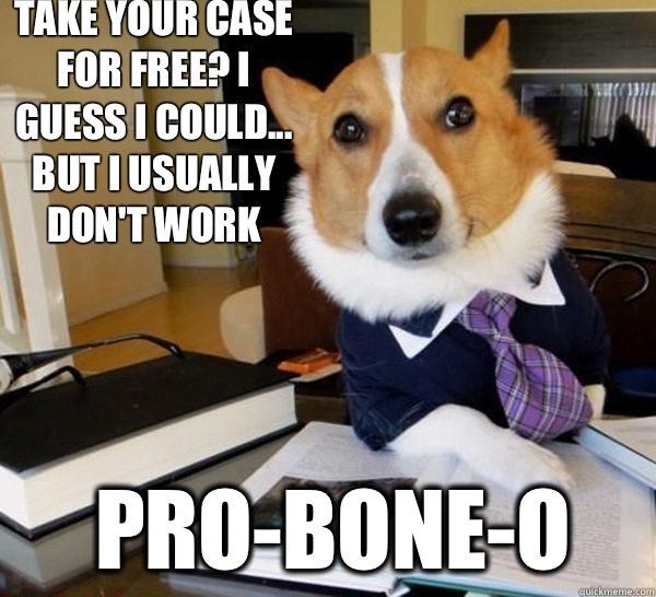 Take your case for free? I guess I could... But I usually don't work  Pro-bone-o  Lawyer Dog