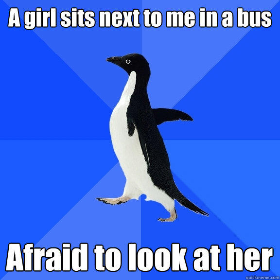 A girl sits next to me in a bus Afraid to look at her - A girl sits next to me in a bus Afraid to look at her  Socially Awkward Penguin