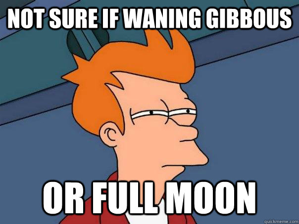 Not sure if waning gibbous or full moon - Not sure if waning gibbous or full moon  Futurama Fry