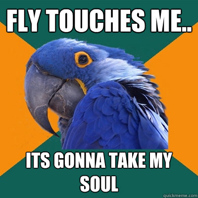 fly touches me.. its gonna take my soul  Paranoid Parrot