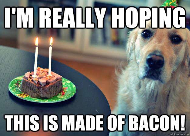 I'm really hoping  this is made of bacon!  Sad Birthday Dog