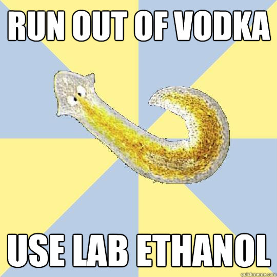 run out of vodka use lab ethanol  Bio Major Planarian