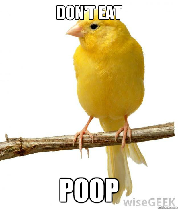 don't eat poop - don't eat poop  Misc