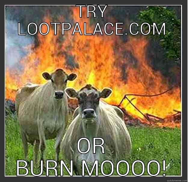 MAD COW - TRY LOOTPALACE.COM OR BURN MOOOO! Evil cows