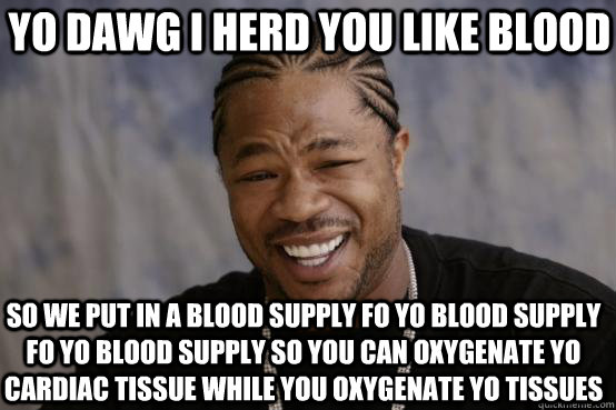 yo dawg i herd you like blood so we put in a blood supply fo yo blood supply fo yo blood supply so you can oxygenate yo cardiac tissue while you oxygenate yo tissues  YO DAWG