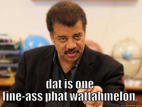 water tyson -  DAT IS ONE FINE-ASS PHAT WATTAHMELON  Misc