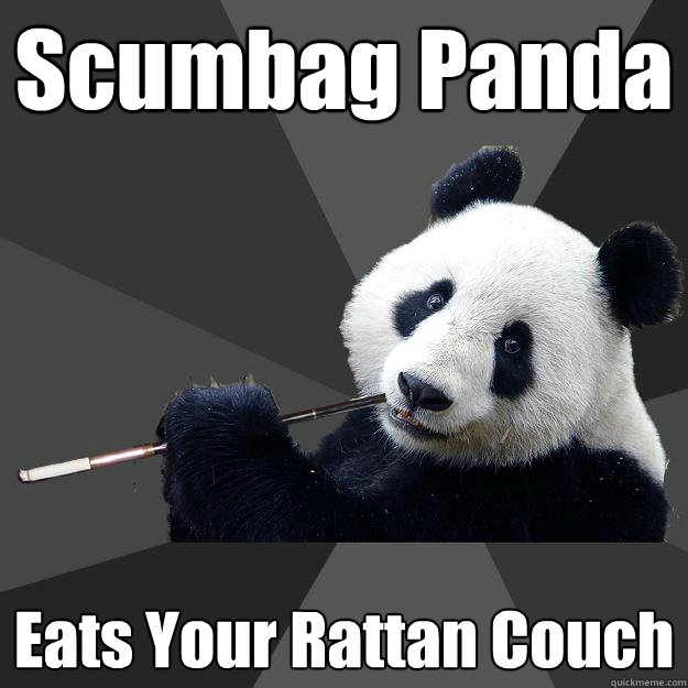 Scumbag Panda Eats Your Rattan Couch - Scumbag Panda Eats Your Rattan Couch  Propapanda