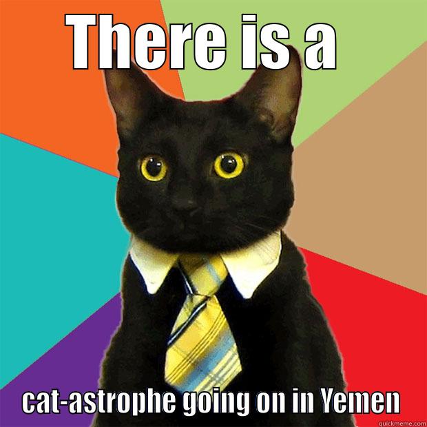 THERE IS A  CAT-ASTROPHE GOING ON IN YEMEN Business Cat