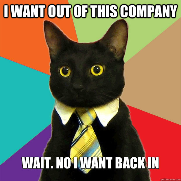 I want out of this company wait. no I want back in  Business Cat