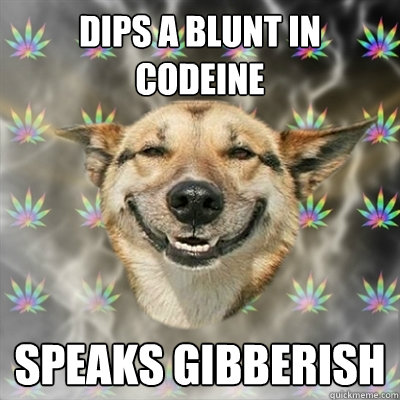 Dips a Blunt in Codeine  Speaks gibberish   Stoner Dog