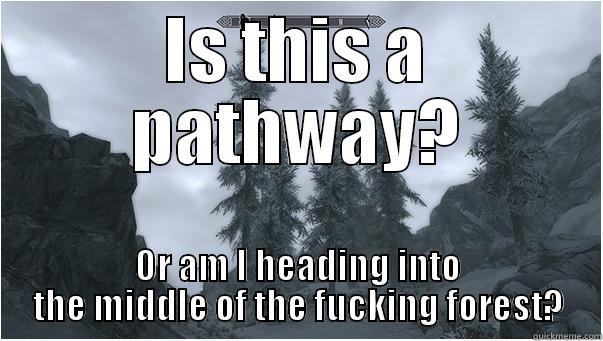 IS THIS A PATHWAY? OR AM I HEADING INTO THE MIDDLE OF THE FUCKING FOREST? Misc