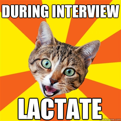 During interview lactate  Bad Advice Cat