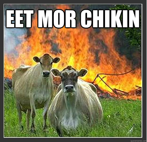 Eet mor chikin  Evil cows