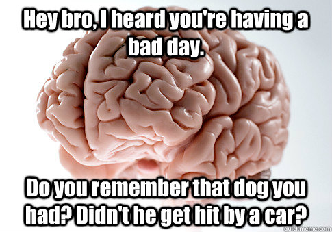 Hey bro, I heard you're having a bad day. Do you remember that dog you had? Didn't he get hit by a car?  Scumbag Brain