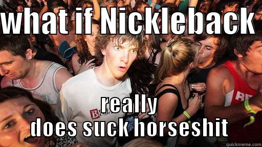 WHAT IF NICKLEBACK  REALLY DOES SUCK HORSESHIT Sudden Clarity Clarence