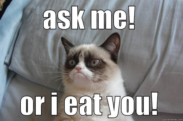 ASK ME! OR I EAT YOU! Grumpy Cat