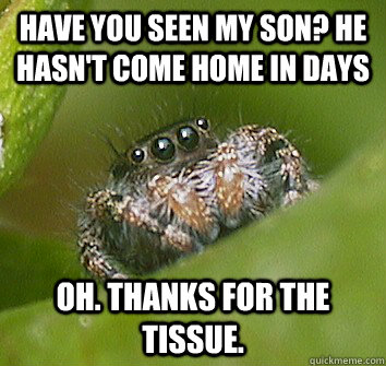 Have you seen my son? He hasn't come home in days Oh. Thanks for the tissue.   Misunderstood Spider