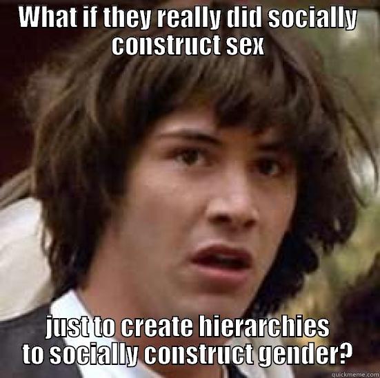 What if they socially constructed sex, just so they could socially construct gender.  - WHAT IF THEY REALLY DID SOCIALLY CONSTRUCT SEX JUST TO CREATE HIERARCHIES TO SOCIALLY CONSTRUCT GENDER? conspiracy keanu