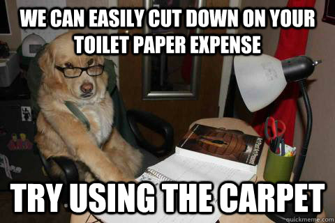 we can easily cut down on your toilet paper expense try using the carpet  Financial Advice Dog