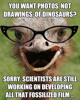 You want photos, not drawings, of dinosaurs? sorry, scientists are still working on developing all that fossilized film ...   Judgmental Bookseller Ostrich